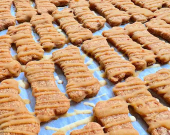 Homemade Healthy Dog Treats Recipes