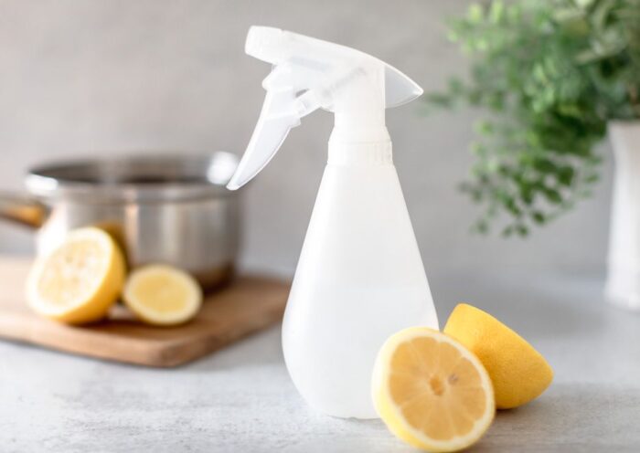 Natural Remedies for Fleas on Cats and Dogs