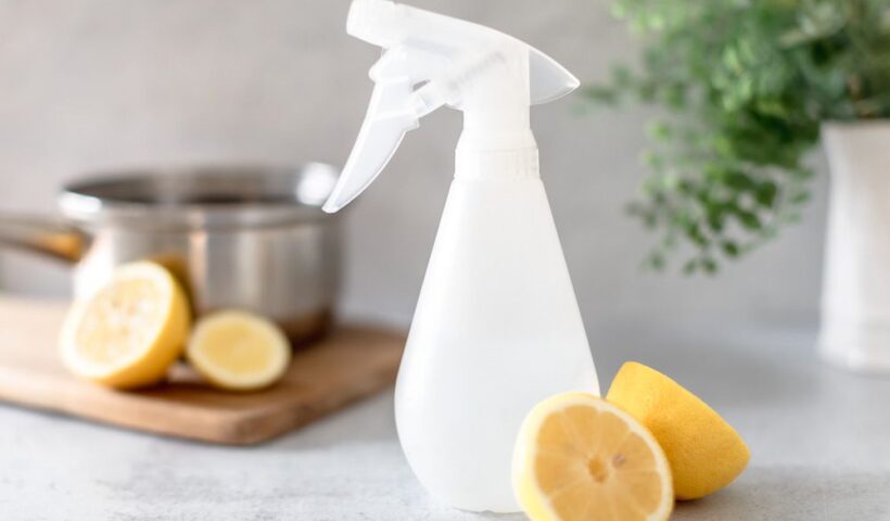 Natural Remedies for Fleas on Cats and Dogs