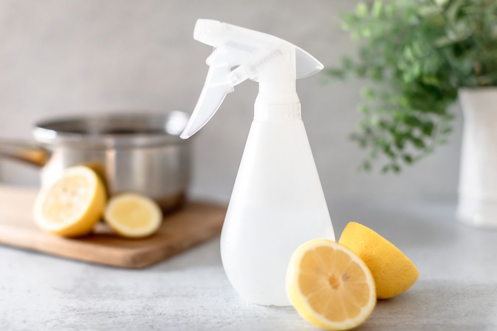 Natural Remedies for Fleas on Cats and Dogs